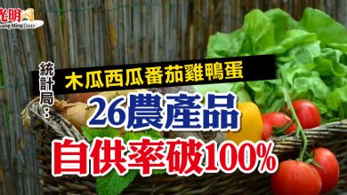 Photo of 統計局：木瓜西瓜番茄雞鴨蛋  26農產品自供率破100%