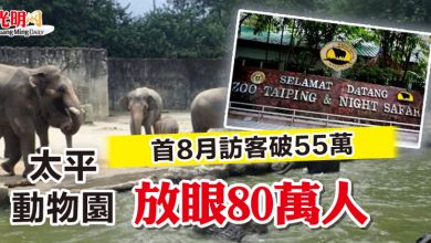 Photo of 首8月訪客破55萬   太平動物園放眼80萬人