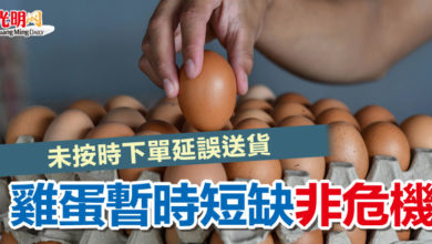 Photo of 未按時下單延誤送貨 雞蛋暫時短缺非危機