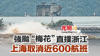 Photo of 強颱“梅花”直撲浙江 上海取消近600航班