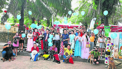 Photo of 怡寵物親子慈善行 60小動物逛人民公園