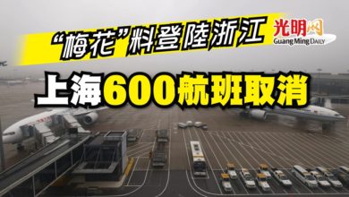 Photo of “梅花”料登陸浙江 上海600航班取消