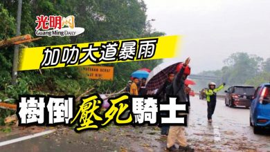 Photo of 加叻大道暴雨 樹倒壓死騎士