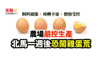 Photo of 飼料續漲+周轉不靈+價格受控 農場嚴控生產 北馬一週後恐鬧雞蛋荒