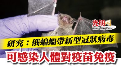 Photo of 研究：俄蝙蝠帶新型冠狀病毒　可感染人體對疫苗免疫