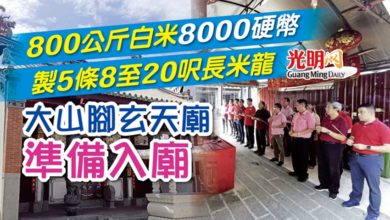 Photo of 800公斤白米製5長米龍 大山腳玄天廟準備入廟