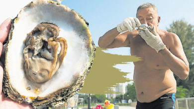 Photo of 【自遊自在】冒险食生蚝