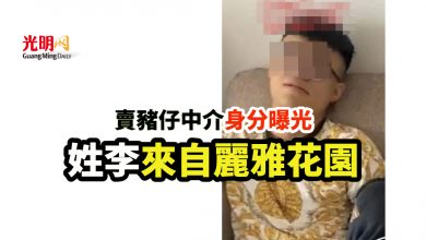 Photo of 賣豬仔中介身分曝光 姓李來自麗雅花園