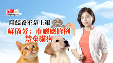 Photo of 阻餵養不是上策 蘇儀芳：市廳應修例禁棄貓狗