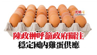 Photo of 陳政翀呼籲政府關注  穩定國內雞蛋供應