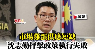 Photo of 【國會】市場雞蛋供應短缺  沈志勤抨擊政策執行失敗