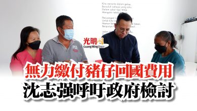 Photo of 無力繳付豬仔回國費用  沈志強呼吁政府檢討