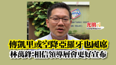Photo of 傳凱里或空降亞羅牙也國席  林萬鋒：相信領導層會更好宣布