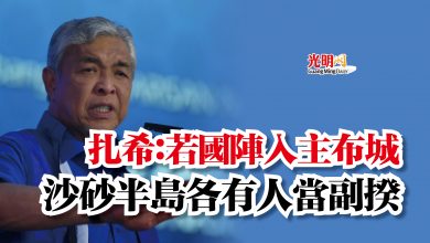 Photo of 扎希：若國陣入主布城  沙砂半島各有人當副揆