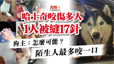 Photo of 哈士奇咬傷多人1人被縫17針  狗主：怎麼可能？陌生人最多咬一口