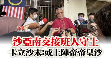 Photo of 沙亞南交接班人守土 卡立沙末:或上陣帝帝皇沙