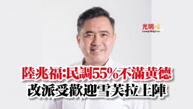 Photo of 陸兆福：民調55%不滿黃德  改派受歡迎雪芙拉上陣