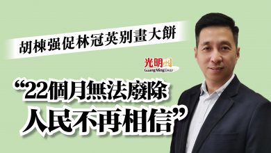 Photo of 胡棟強促林冠英別畫大餅  “22個月無法廢除 人民不再相信”