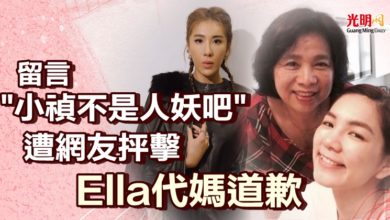 Photo of 留言“小禎不是人妖吧”遭網友抨擊  Ella代媽道歉