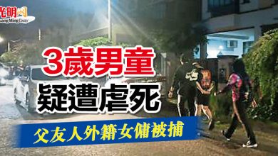 Photo of 3歲男童疑遭虐死  父友人外籍女傭被捕