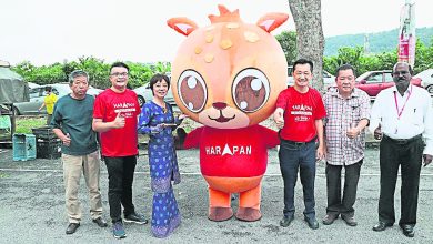 Photo of 希盟大選吉祥物 佳果逛芙夜市吸睛