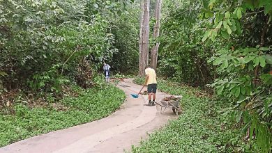 Photo of 免登山者滑倒 馬口禪淨中心打掃落葉