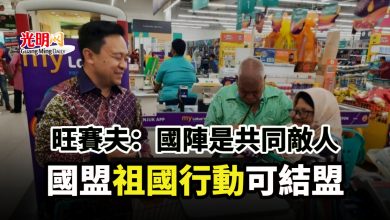 Photo of 旺賽夫：國陣是共同敵人 國盟祖國行動可結盟