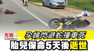 Photo of 孕婦閃避蛇撞車死 胎兒保命5天後逝世