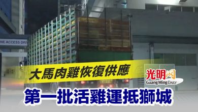Photo of 大馬肉雞恢復供應 第一批活雞運抵獅城
