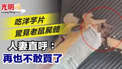 Photo of 吃洋芋片驚見老鼠屍體 人妻直呼：再也不敢買了