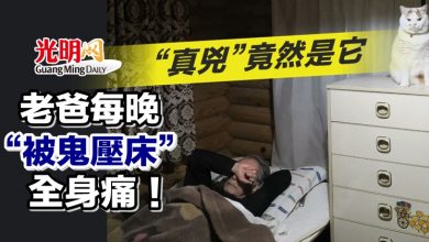 Photo of 老爸每晚“被鬼壓床”全身痛！ “真兇”竟然是它
