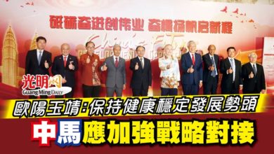 Photo of 歐陽玉靖：保持健康穩定發展勢頭 中馬應加強戰略對接