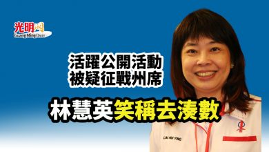 Photo of 活躍公開活動被疑征戰州席 林慧英笑稱去湊數