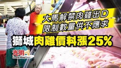 Photo of 大馬解禁肉雞出口 限制數量供不應求 獅城肉雞價料漲25%