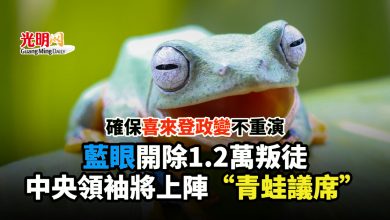 Photo of 確保喜來登政變不重演  藍眼開除1.2萬叛徒 中央領袖將上陣“青蛙議席”
