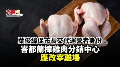 Photo of 葉俊緯促市長交代運營者身份 峇都蘭樟雞肉分銷中心應改宰雞場