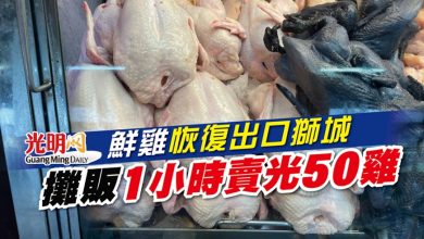 Photo of 鮮雞恢復出口獅城 攤販1小時賣光50雞