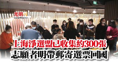 Photo of 上海淨選盟已收集約300張   志願者明帶郵寄選票回國