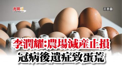 Photo of 李潤耀：農場減產止損  冠病後遺症致蛋荒