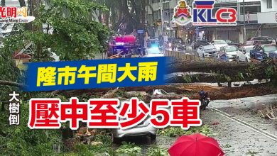 Photo of 隆市午間大雨 大樹倒 壓中至少5車