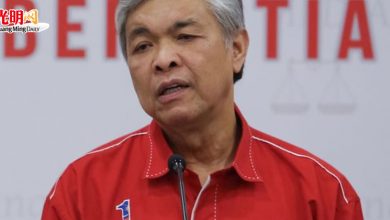 Photo of 扎希：拉盟非不可能  投國盟=投希盟