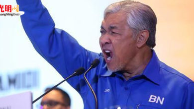 Photo of 巫統最高理事：根據黨內等級   ”扎希應任副揆“