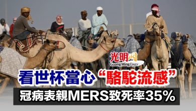 Photo of 看世杯當心“駱駝流感” 冠病表親MERS致死率35%