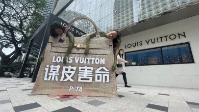 Photo of 人體彩繪演示巨蟒之死 主 PETA促停止“謀皮害命”
