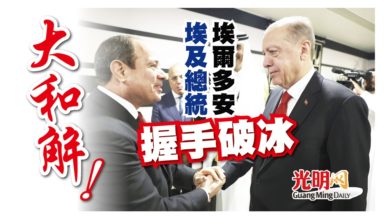 Photo of 大和解！ 埃及總統與埃爾多安握手破冰