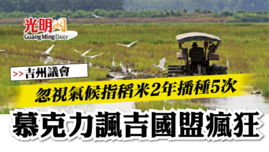 Photo of 【吉州議會】忽視氣候指稻米2年播種5次   慕克力諷吉國盟瘋狂