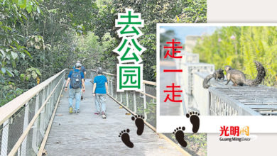 Photo of 【自遊自在】去公园走一走