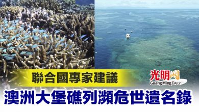 Photo of 聯合國專家建議 澳洲大堡礁列瀕危世遺名錄