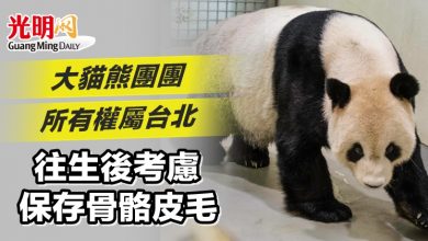 Photo of 大貓熊團團所有權屬台北 往生後考慮保存骨骼皮毛