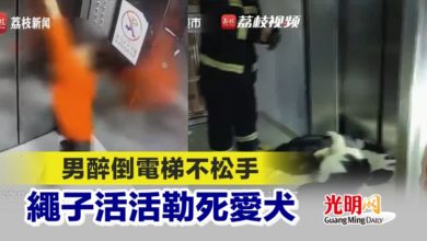 Photo of 男醉倒電梯不松手 繩子活活勒死愛犬
